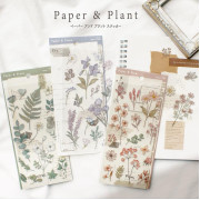 MIND WAVE 透明/書紙貼紙 (2張組合): Paper & Plant系列/ Brown (81685)